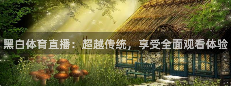 wnba直播免费观看说球帝：黑白体育直播：超越传统，享受全面观看体验