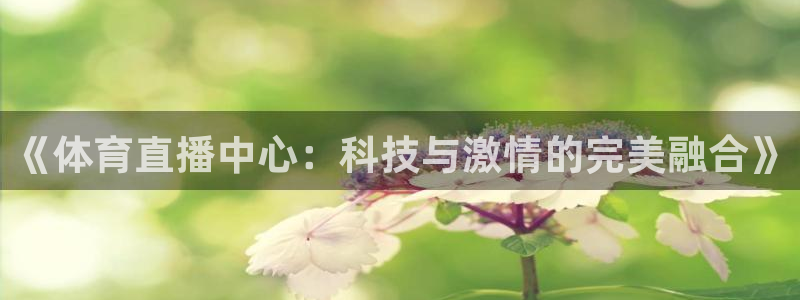 说球帝下载：《体育直播中心：科技与激情的完美融合》