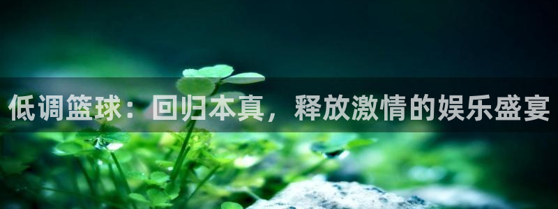 说球帝app下载：低调篮球：回归本真，释放激情的娱乐盛宴