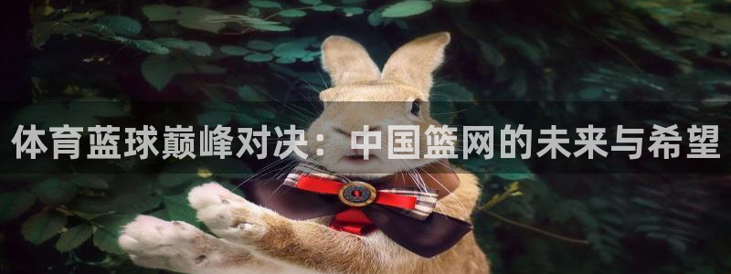 说球帝 com：体育蓝球巅峰对决：中国篮网的未来与希望