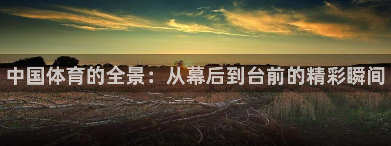 nba免费观看直播在线观看说球帝：中国体育的全景：从幕后到台前的精彩瞬间