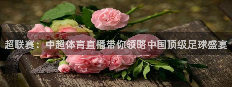 说球帝app：超联赛：中超体育直播带你领略中国顶级足球盛宴