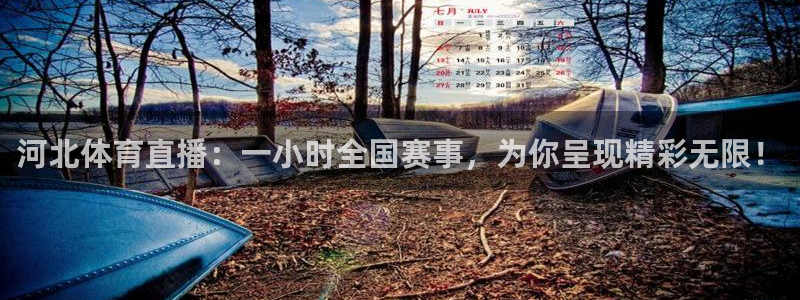 360体育直播说球帝免费观看：河北体育直播：一小时全国赛事，为你呈现精彩无限！