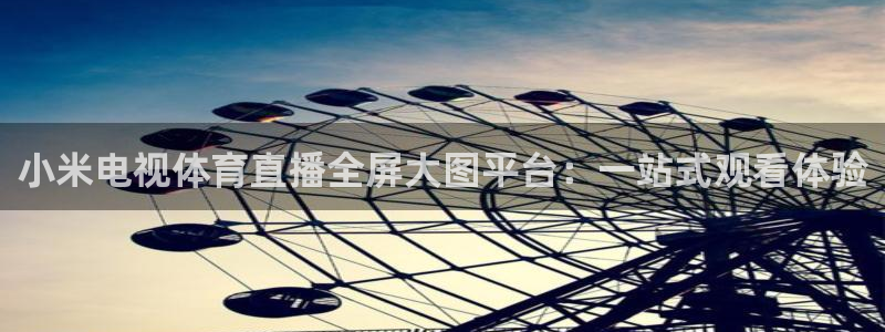 说球帝app官网下载：小米电视体育直播全屏大图平台：一站式观看体验