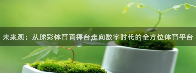 说球帝在线：未来观：从球彩体育直播台走向数字时代的全方位体育平台