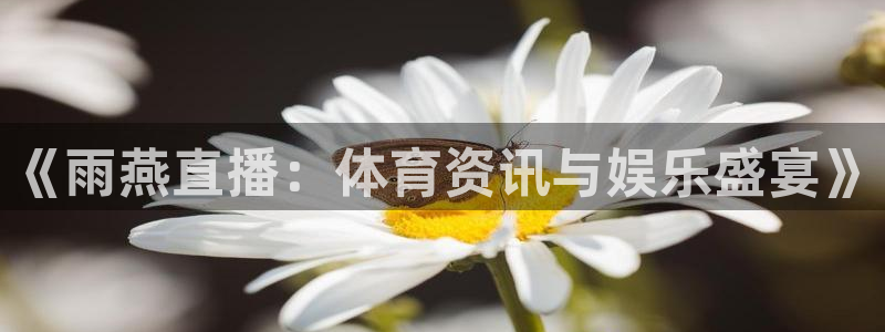 nba直播免费高清在线直播说球帝：《雨燕直播：体育资讯与娱乐盛宴》
