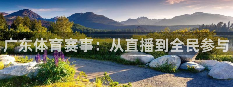 说球帝体育直播免费：广东体育赛事：从直播到全民参与