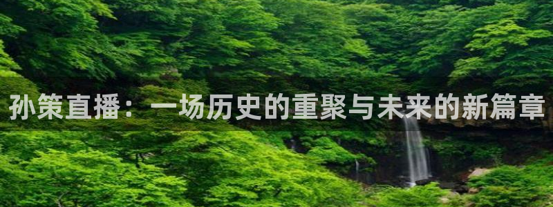 说球帝nba直播免费高清下载：孙策直播：一场历史的重聚与未来的新篇章