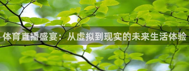 说球帝nba直播下载：体育直播盛宴：从虚拟到现实的未来生活体验